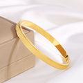 COSMIC FROST BANGLE